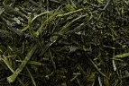 Japanese Green Tea Online leaf tea Fukamushi Sencha (Organic)