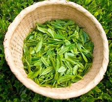 Why are your teas fresher than other green teas?
