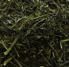 Japanese Green Tea Online leaf tea Fukamushi Sencha (Organic)